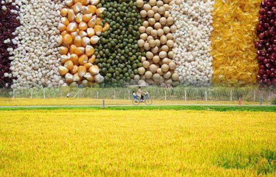 空氣能熱泵烘干機助力自動化農業(yè)發(fā)展，空氣能糧食烘干機十大優(yōu)點
